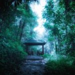 Mysterious foggy forest with wooden bridge and pavilion